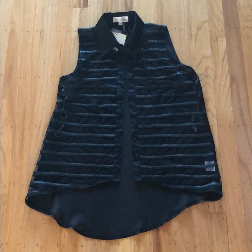 Ina sheer striped button-down sleeveless shirt